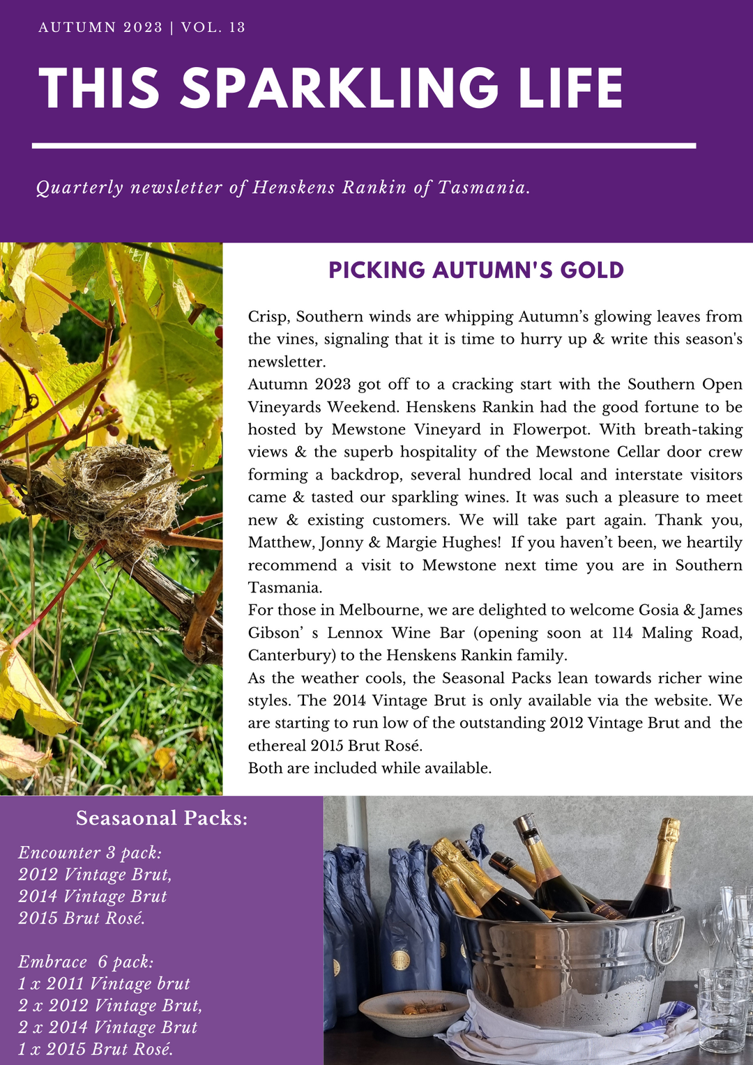 Autumn 2023: Picking Autumn's gold.